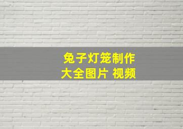 兔子灯笼制作大全图片 视频